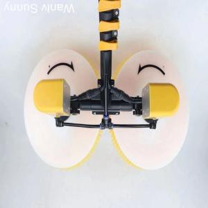 Wholesale Office Location Wuxi City Double-Head Spin Brush for Solar Panels Glass Walls and Cars from china suppliers
