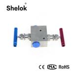 Liquid Water 2 Ways Valves Manifold