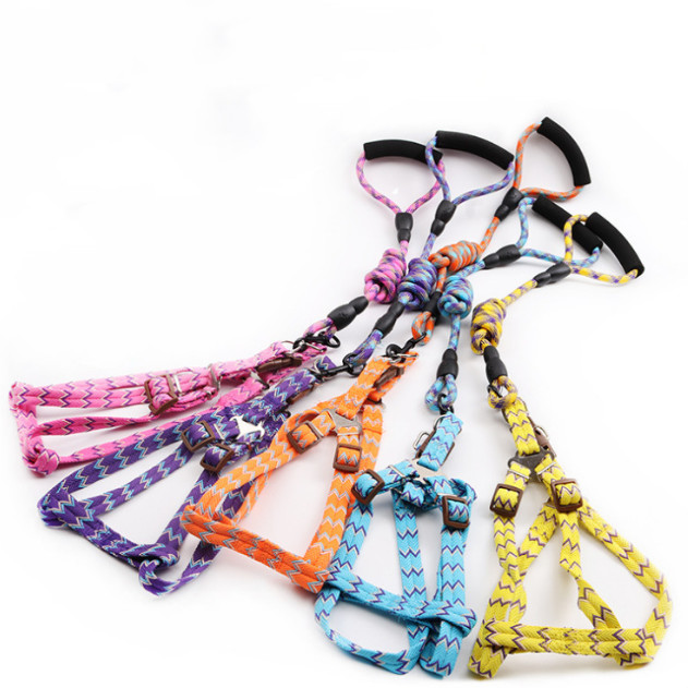 puppy harness and lead set
