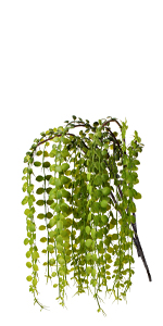 artificial eucalyptus stems
