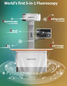 Wholesale 32KW Vet Medical Equipment Real Time Fluoroscopy Machine DR from china suppliers