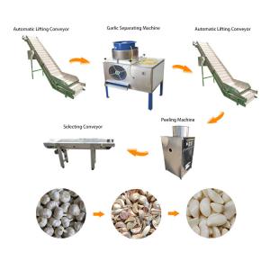 China Industrial Automatic garlic peeling machine production line garlic processing machines on sale