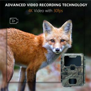 Wholesale Wildlife Monitoring Camera Night Vision 0.1s Capture Speed 32MP 4K Hunting Camera Waterproof IP67 Animal Observation Camera from china suppliers