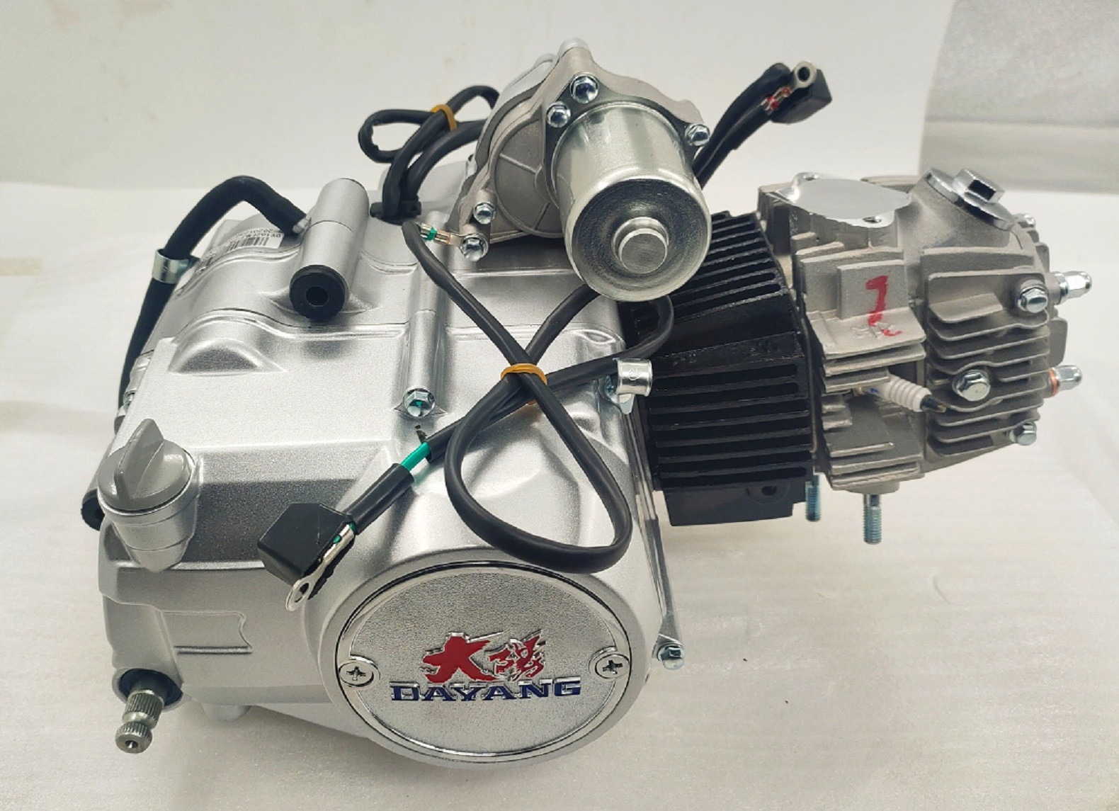 Origin CCC 110CC DAYANG Complete Motorcycle with Ignition and Nature Cylinder Style