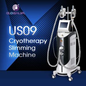 Wholesale Medical CE Cryolipolysis Machine 6MHz Multipolar RF Frequency For Weight Loss from china suppliers