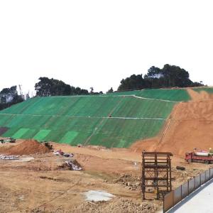 Wholesale Reinforced Green 3D Geomat for Slope Protection Onsite Training Offered from china suppliers