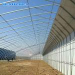 Automatic High Insulated Agricultural Greenhouse With Customized Temperature