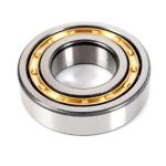 NJ200 Series Single Row Roller Bearing NJ220 NJ222 NJ226 Cylindrical Roller