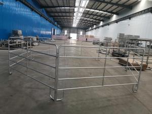 Wholesale Carbon Steel 1.7m Portable Fence Panels For Livestock Cattle Yard from china suppliers