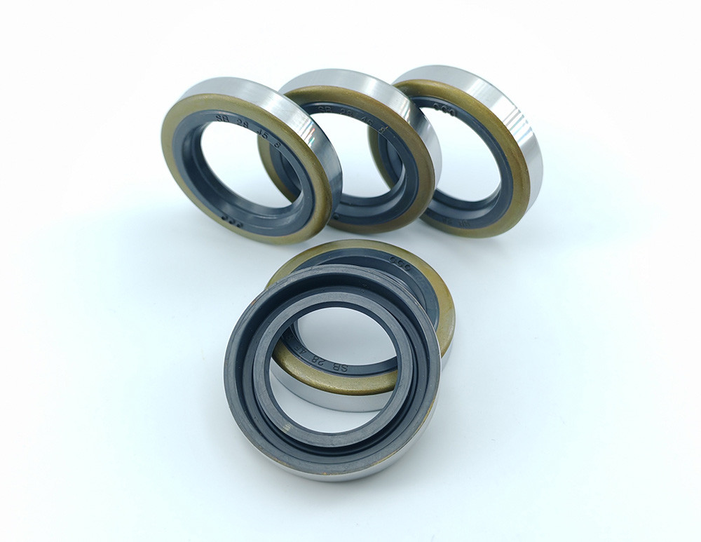 Automotive NBR Oil Seals Mechanical Engine Oil Seals For Heavy Truck