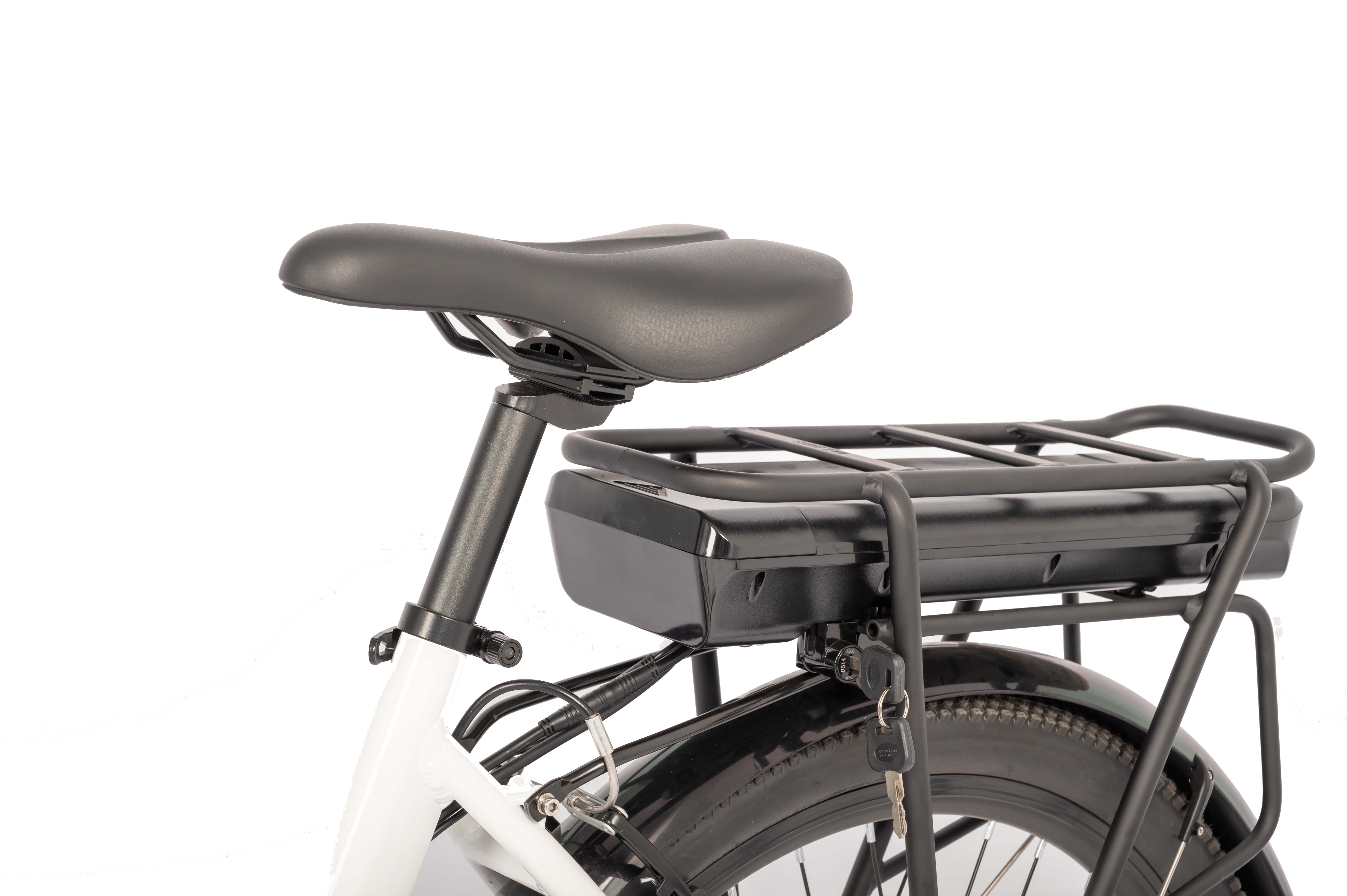 Customized City Ebike for Women Max Speed 30-50Km/h 750w Lady Electric Bike 48V 15AH Ebike