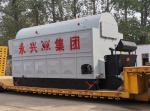 Wood Fired Steam Boiler DZL Type Chain Grate Stoker