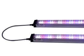 Wholesale Hydroponic Greenhouse T8 Full Spectrum LED Grow Lights Waterproof 4ft 1200mm from china suppliers