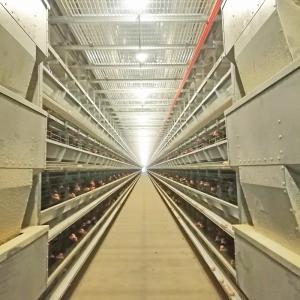 Wholesale HDG Automatic Poultry Feeding System 8.67m/Min 0.75kw Chicken Cage Feeder from china suppliers