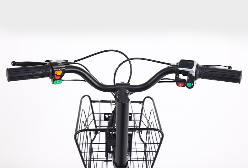 48V 300W Motor Power 12 Inch Electric Tricycle 3 Wheel Electric Bike for Adult Cargo