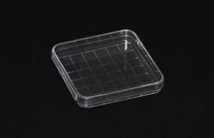 Wholesale Clear Plastic 100X15mm Sterile Petri Dishes Disposable Square Shape for Laboratory from china suppliers