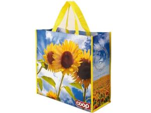 Wholesale Simple Design PP Non Woven Shopping Bags , Laminated Non Woven Fabric Carry Bag from china suppliers