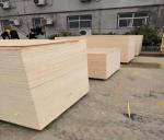 Poplar Core Commercial Grade Plywood For Home Decoration Furniture E1 Glue