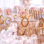 Scratching Proof Luxury Wedding Dining Chair Large Event Dining Chair
