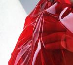 Women'S See Through Windbreaker Waterproof TPU Fabric