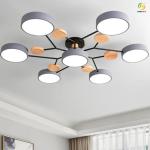 Used For Home/Hotel/Showroom LED Fashionable Atmosphere Ceiling Light