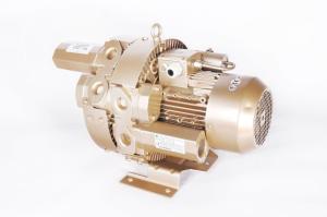 Wholesale Ring 1.5kw Side Channel Vacuum Pump For Central Vacuum Systems 2 Stage GHBG 002 12 2R3 from china suppliers