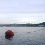 Navigation Floating Marine Mooring Buoy For Ships / Boats
