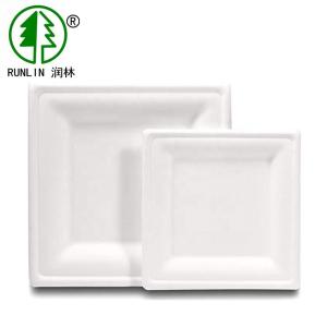 Wholesale 18g 20g Biodegradable Sugarcane Bagasse Plates Disposable Paper Tableware For Cake from china suppliers