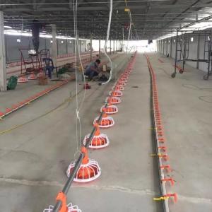 Wholesale 14 grilles Broiler Farm Equipment 3 pan/3m Broiler Poultry Farming Equipment from china suppliers