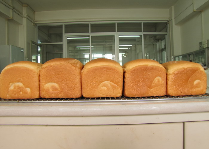 Food Grade Waxy Beads Compound Emulsifier For Bakery Pastry And Cake Premix SP817