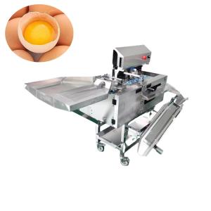 Wholesale 3000pcs/H Industrial Egg Separator Machine Stainless Steel Commercial Egg Cracker And Separator 0.5kw from china suppliers