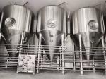 3mm 3000T SS304 Commercial Beer Brewing Equipment