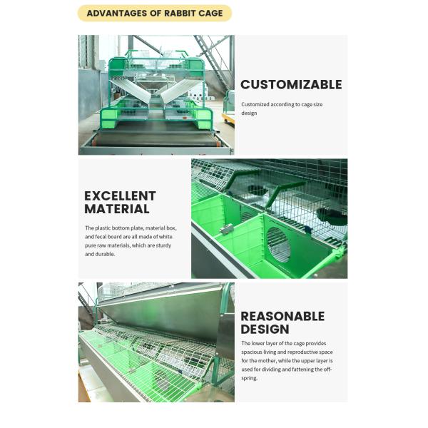 High Quality H Type Automatic Battery Chicken Cage for Broiler Farming