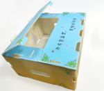 Eco-Friendly Vegetable Corrugated Boxes for Sustainable Agriculture