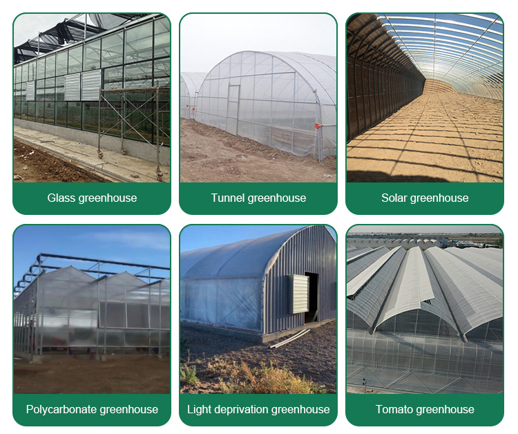 PC Greenhouse for Multi-Span Agricultural Greenhouses Section 8.0m Strong Structure