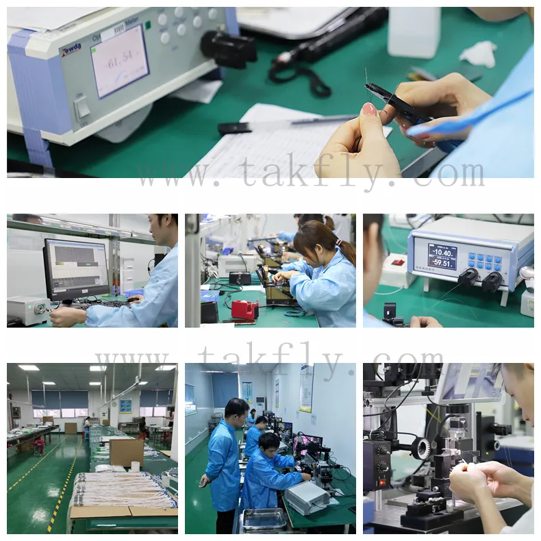 MPO 12 Fibers Om3 50/125 Double Jacket Trunk Cable Patchcord