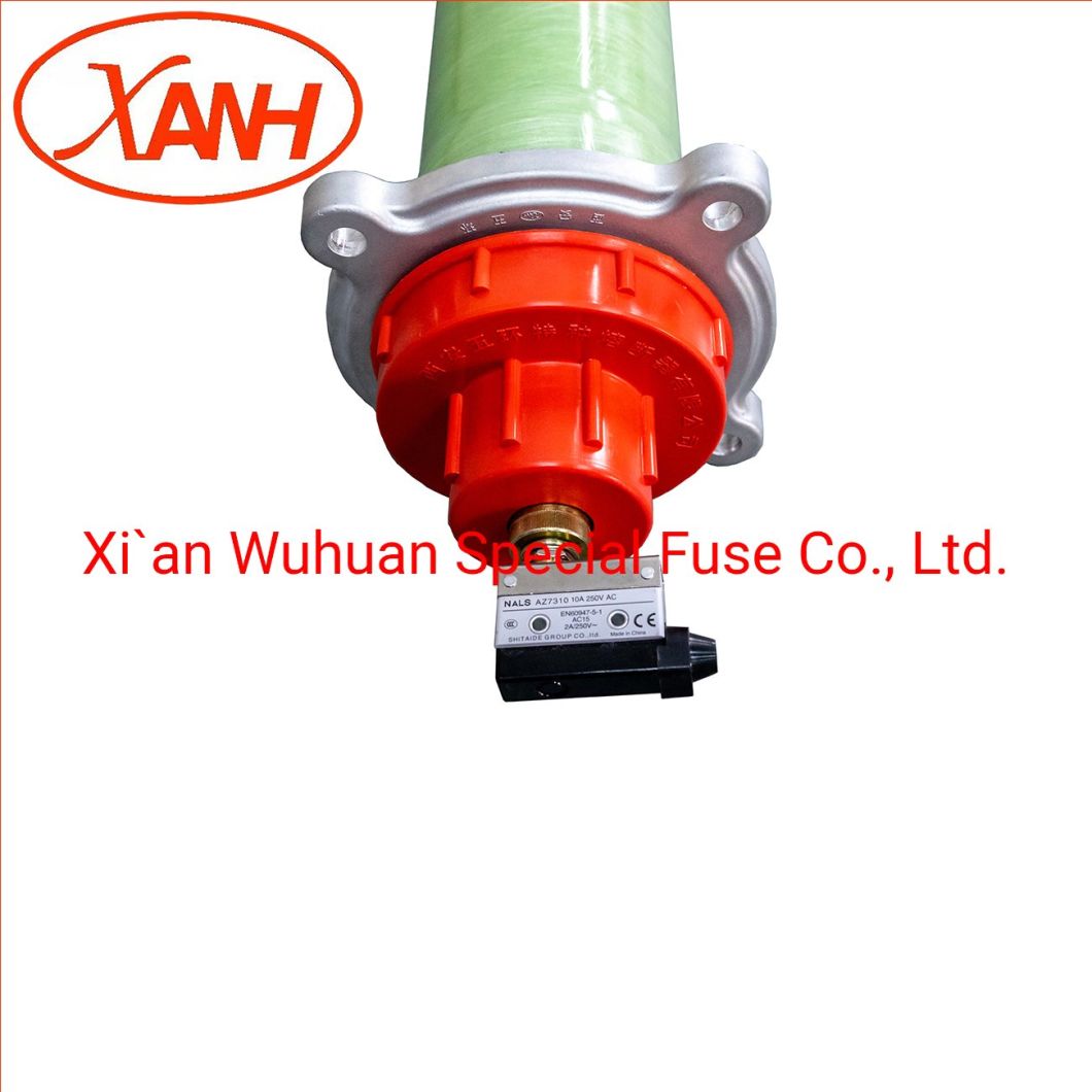 Xrnt Insulator 15 AMP High Voltage Ceramic Fuse Manufacturer