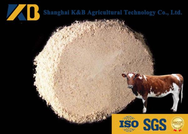 Non - Allergen Organic Brown Rice Protein Powder / Raw Rice Protein Yellowish