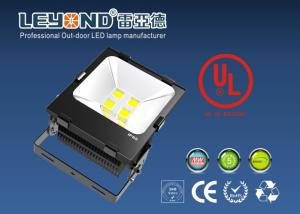 Wholesale 120LM/W Outdoor LED Flood Lights Bridgelux Chip COB 5 Years Warranty UL from china suppliers