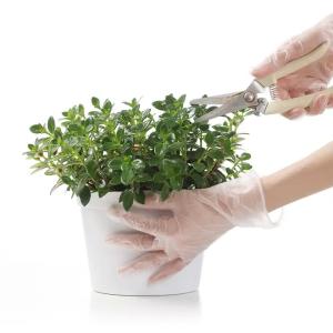 Wholesale Waterproof Disposable Vinyl Gloves Transparent Use For Kitchen from china suppliers