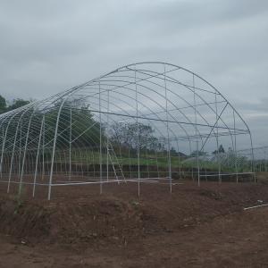 Wholesale Agricultural Commercial Industrial 12m Width Anti UV PE Plastic Film Greenhouse For Crops from china suppliers