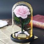 Never Withered Flowers preserved roses in glass dome Fresh flower rose Preserved