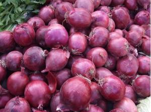Wholesale Metabolism Enhancing Fresh 6cm Restaurant Red Onion from china suppliers