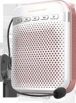 NEWGOOD Golden,Black,Grey Color Goddess Professional Wireless Wired Microphone