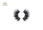 16mm Dramatic False Eyelashes