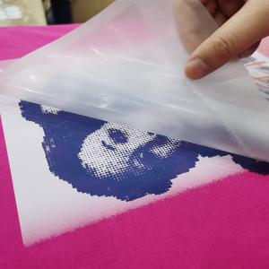 Wholesale Flexible 60cm 30cm DTF Printer Film Heat Transfer PET Sheets Paper from china suppliers