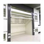 Phenolic Resin Modern Laboratory Furniture 3ft 4ft 5ft 6ft Laboratory Fume Hood