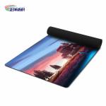 24"X72" Natural Rubber Backed Door Rugs Anti Slip 4mm Printed Plastic Door