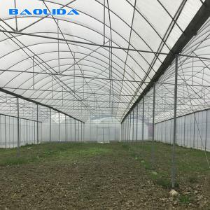 Wholesale Large Size Plastic Film Greenhouse / Agriculture Greenhouse 20m - 100m Long from china suppliers
