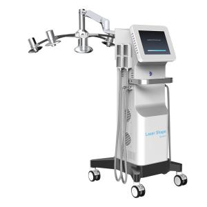 Wholesale Tech Lipolaser Lipo Body Slimming Cryolipolysis Ems 30mm*800mm Cover Area from china suppliers